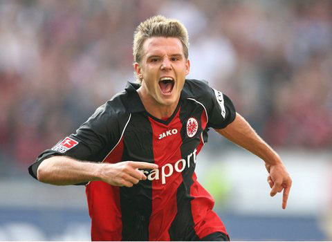 这为开发者 这为开发者